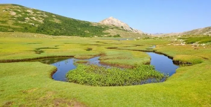 L'attellu Di Babbu Pour 2