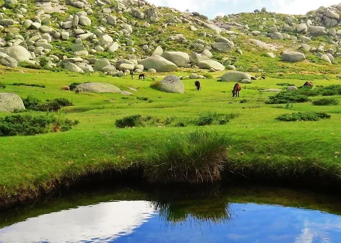 L'attellu Di Babbu Pour 2 Casa vacanze *