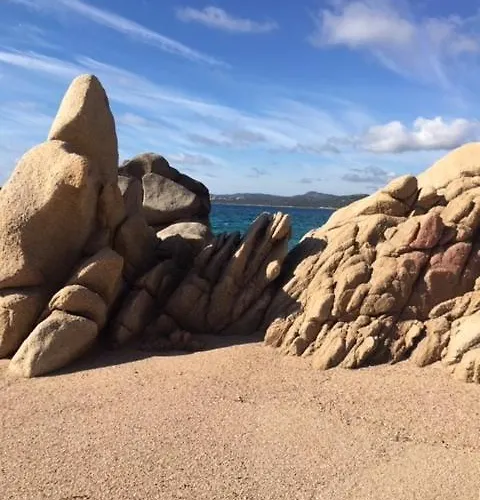 L'attellu Di Babbu Pour 2