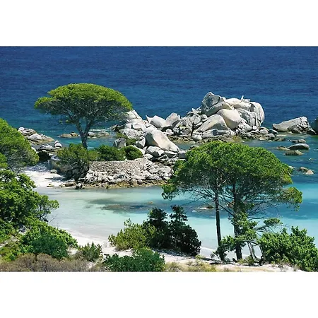 L'attellu Di Babbu Pour 2 * Lecci