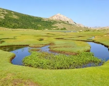 L'attellu Di Babbu Pour 2