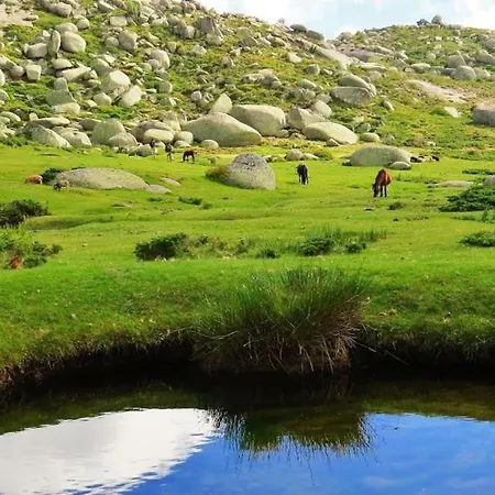 L'attellu Di Babbu Pour 2 別荘 *