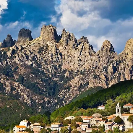 L'attellu Di Babbu Pour 2