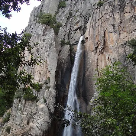 L'attellu Di Babbu Pour 2