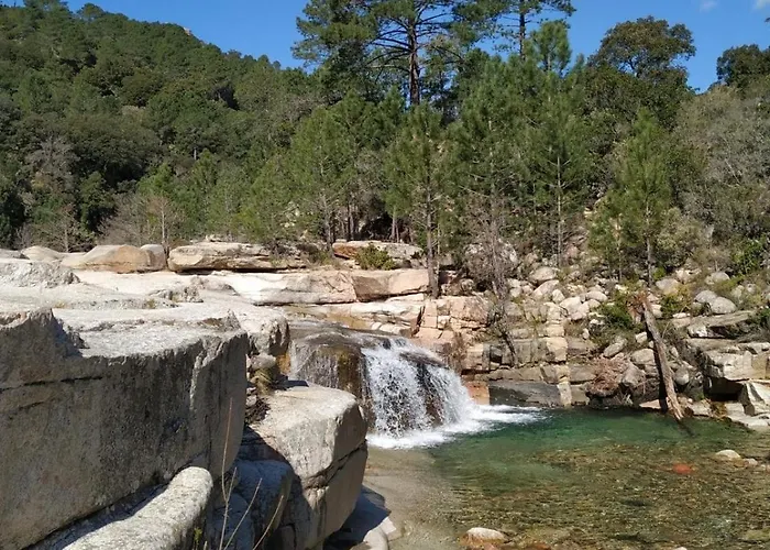 L'attellu Di Babbu Pour 2